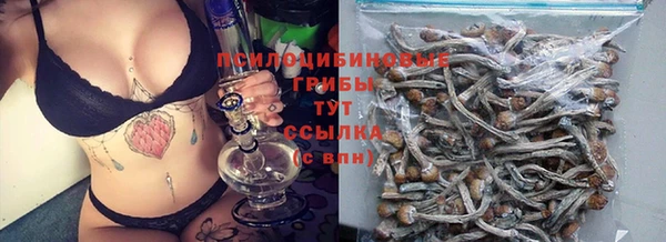 спиды Горнозаводск