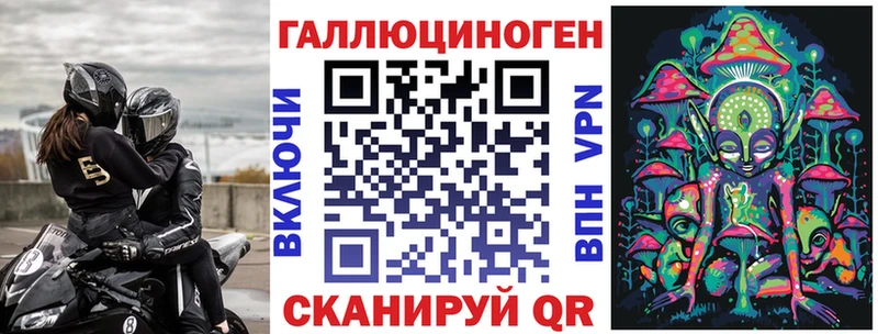 Купить  Котельнич  Псилоцибиновые грибы Psilocybe 